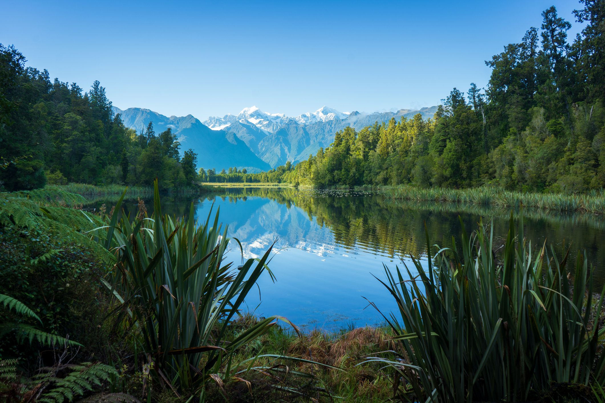 Tranquil lake surrounded by lush forest